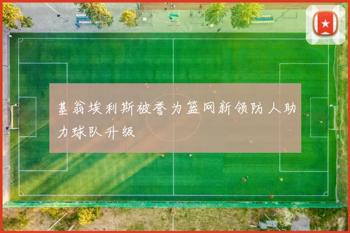 基翁埃利斯被誉为篮网新领防人助力球队升级